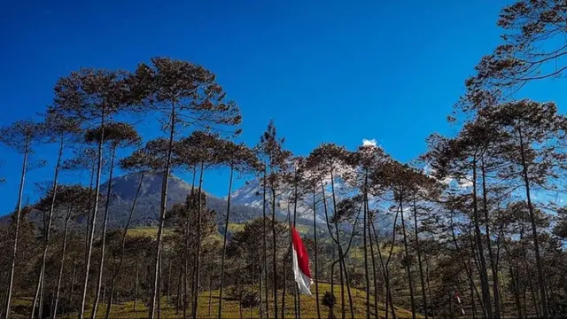 Gunung Kembang di Wonosobo
