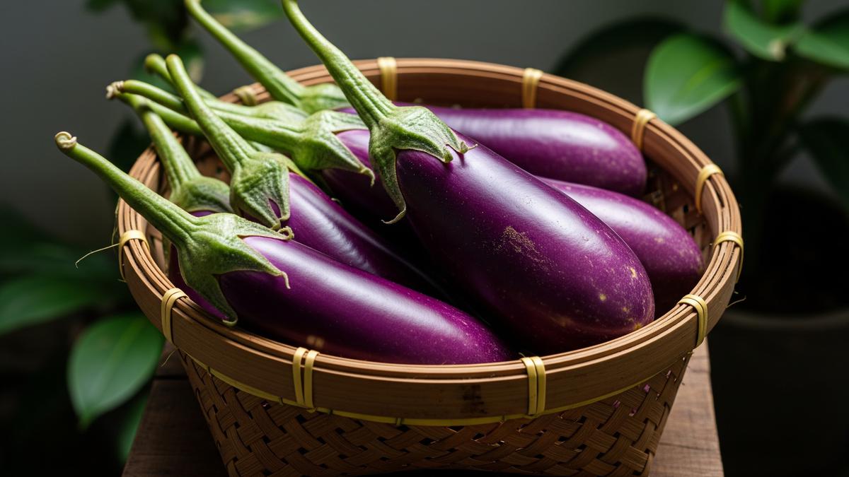 5 Inspirasi Kebun Terong di Pot untuk Teras Rumah Minimalis, Produktif di Lahan Terbatas