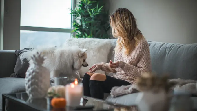 [Bintang] 3 Zodiak Ini Lebih Pilih Bermanja-manja sama Hewan Peliharaan daripada sama Pacar, Ups!