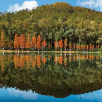 Destinasi pendakian Lau Shui Heung Reservoir. (Dok/HKTB)