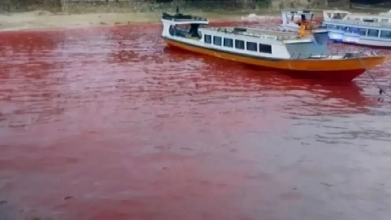 Kilas Indonesia: Air Laut Kepulauan Banda Berubah Merah Darah