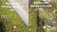 Viral Ratusan Kilogram Cabai Terendam di Selokan, Diduga Dibuang karena Tidak Laku