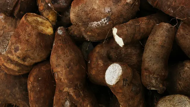 Meningkatkan Kesehatan Pencernaan