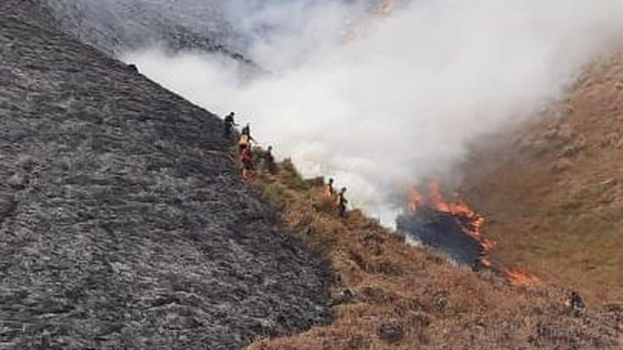 Kepala Bagian Tata Usaha Balai Besar TNBTS Septi Eka Wardhani menduga kebakaran akibat pengunjung menyalakan suar di area tersebut.