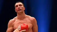 Wladimir Klitschko (kiri) vs Tyson Fury_(AFP/Patrik Stollarz)