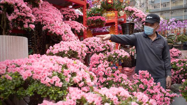 Ramai-Ramai Berburu Bunga Jelang Perayaan Imlek di Hong Kong