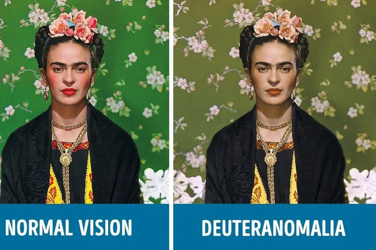 [Bintang] 5 Perbedaan Penglihatan Mata Buta Warna dengan Mata Normal