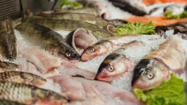 Cara Menyimpan Daging Ikan