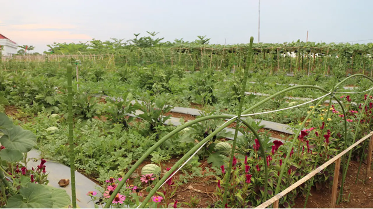Kampung Hortikultura