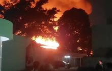 Kronologi Kebakaran Museum Nasional, 4 Ruangan Penyimpanan Prasejarah Terbakar