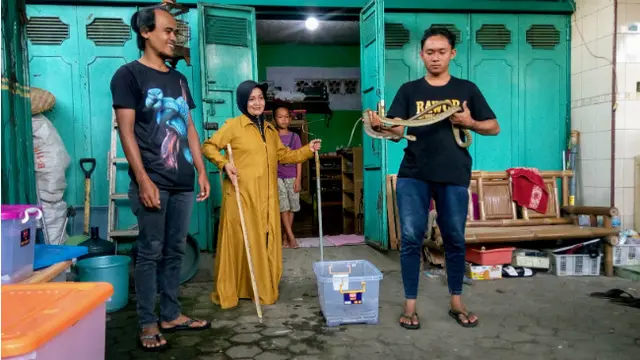 Mengaku Tak Segesit Dulu, Iin Ayu Kurangi Bermain King Kobra