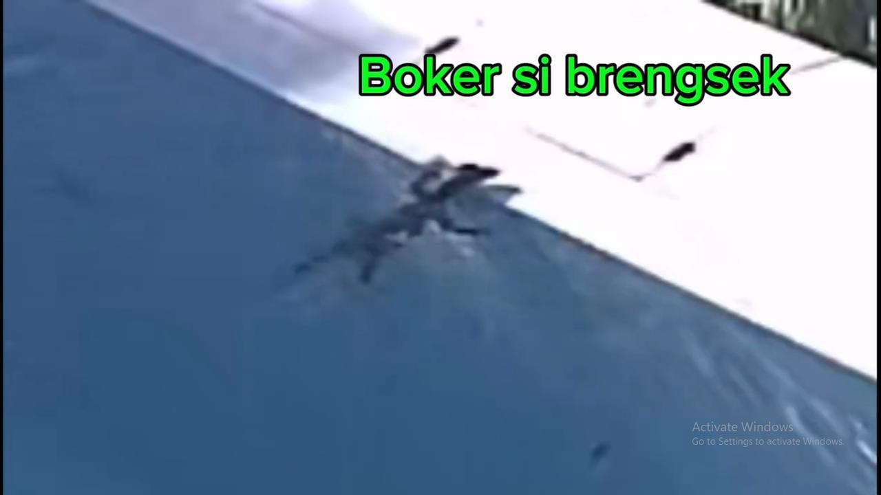Dikta Bagikan Kondisi Vilanya Lewat CCTV, Ada 'Tamu' Tak Diundang Berenang di Kolam Berhari-hari