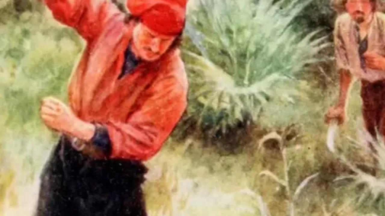 Selain itu, manusia juga seiring berjalanan waktu mereka terus merusak habitat Burung Dodo dengan penebangan pohon untuk kepentingan sendiri. <br>