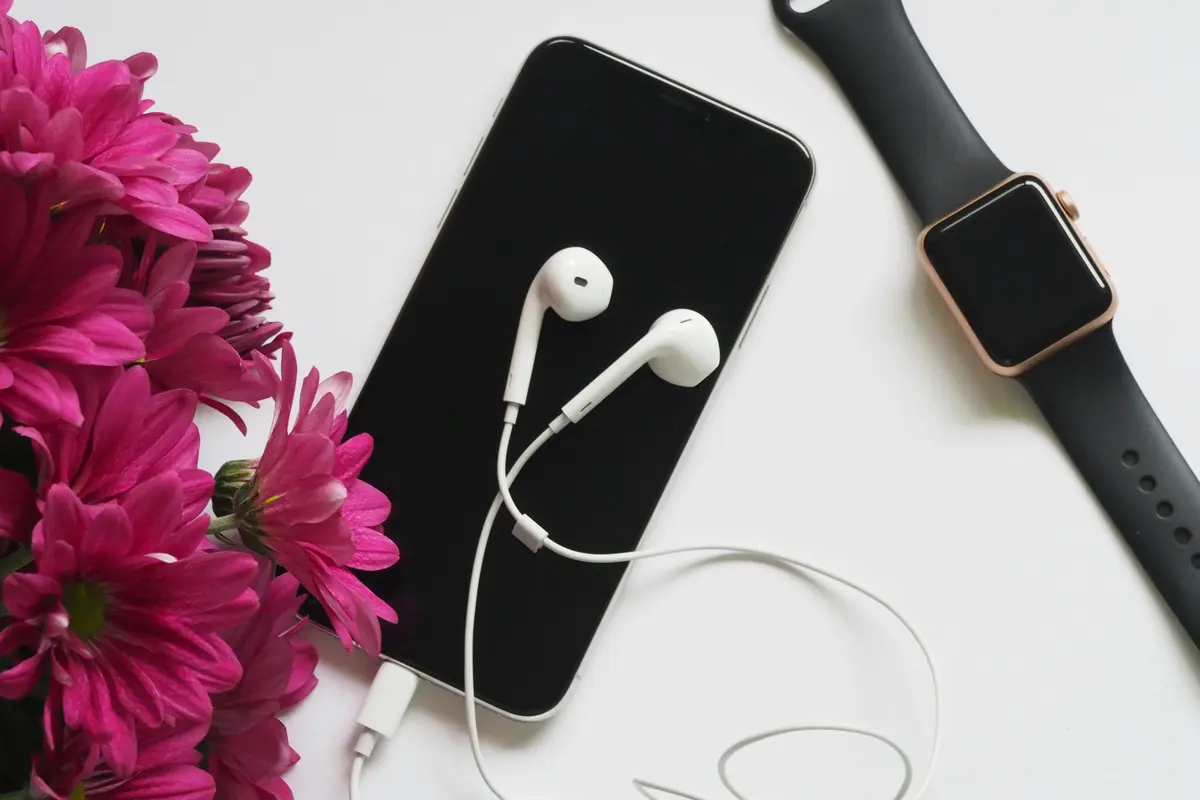 Earphone