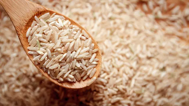 Ilustrasi brown rice
