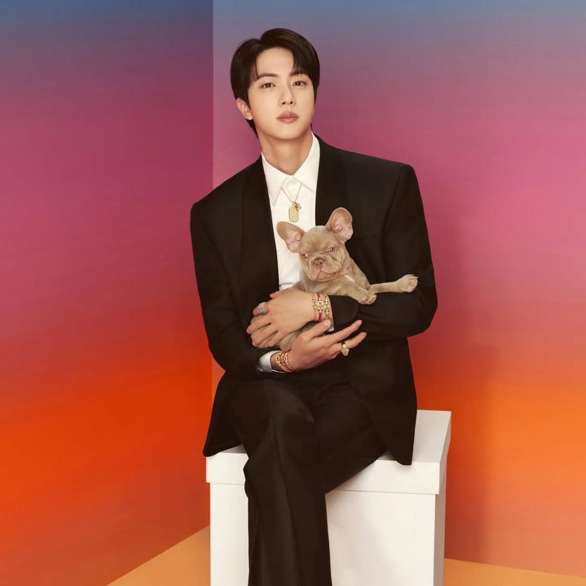 Jin BTS Donasi Rp 1,1 Miliar ke Korea University Medical Center untuk Pasien Penyakit Langka