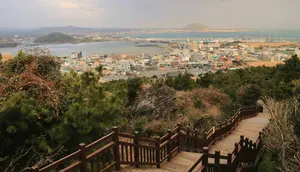 Penjelasan Kemlu Terkait Dugaan TPPO WNI di Jeju Korea Selatan