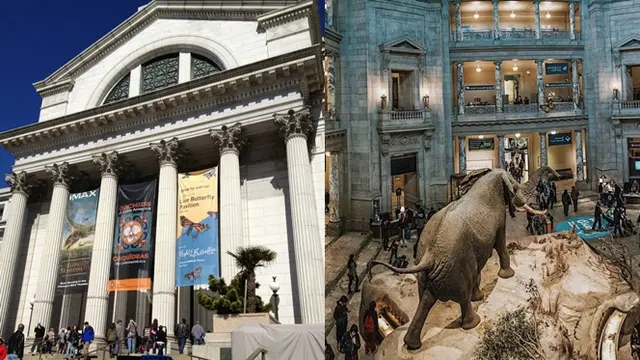 6 Museum Sejarah Alam Terunik di Dunia, Interiornya Bikin Kagum