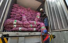 Kebutuhan Hanya 600 Ton, Menteri Zulhas Buka Keran Impor Bawang Putih 300 Ribu Ton