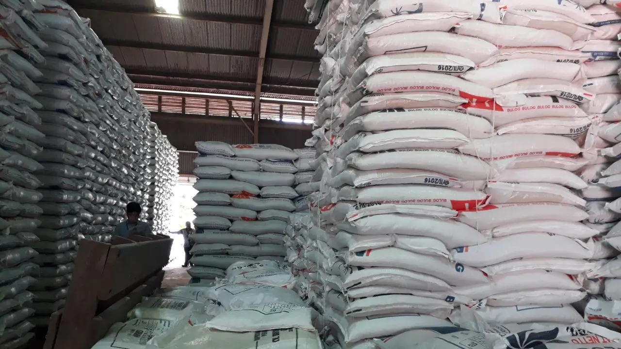 Bulog Sumsel Hanya Serap 31 Persen Beras Petani Lokal