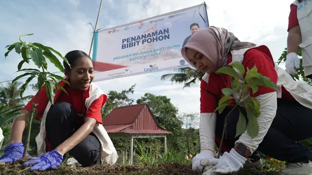 ilustrasi aksi sosial tanam pohon - image bank