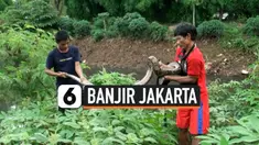 TV Banjir