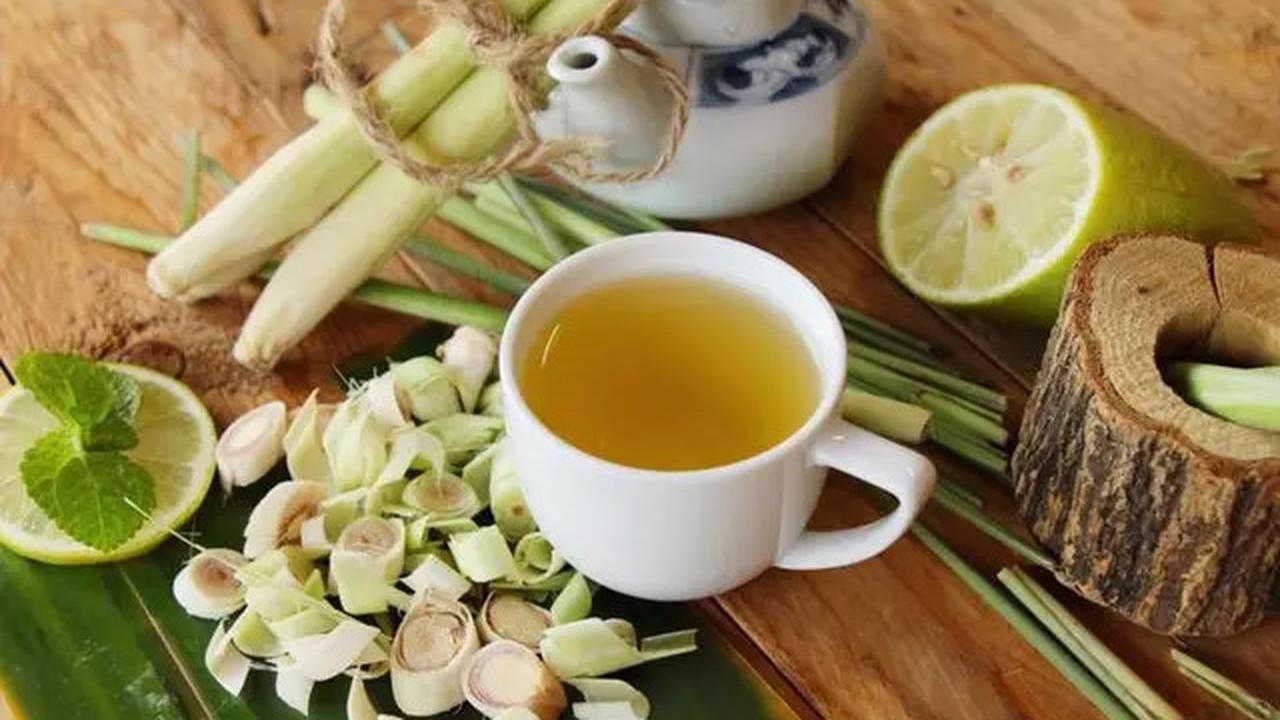 Resep Jamu Rebusan Daun untuk Turunkan Tekanan Darah Tinggi Secara Alami
