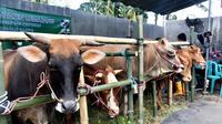 Ilustrasi pasar hewan sapi Lumajang (Istimewa)