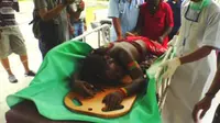 Seorang warga yang menjadi korban bentrokan antar kelompok, Piome Murib ditangani petugas untuk mendapat perawatan medis di Rumah Sakit Mitra Masyarakat (RSMM), Timika, Papua. (Antara)