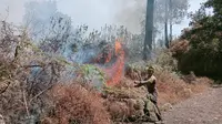 Tim gabungan mencoba memadamkan dan mengendalikan kebakaran yang terjadi areal hutan di kaki Gunung Rinjani. (dok.BNPB)