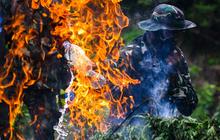 FOTO: TNI AD Bongkar Ladang Ganja di Pegunungan Aceh Besar