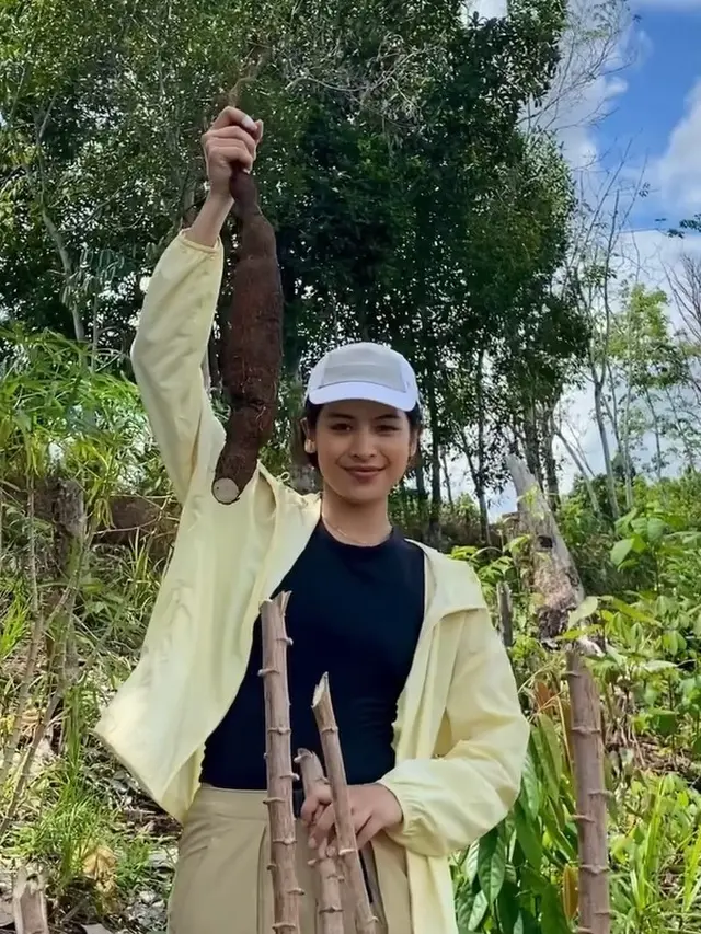 Maudy Ayunda panen singkong (Instagram/maudyayunda)