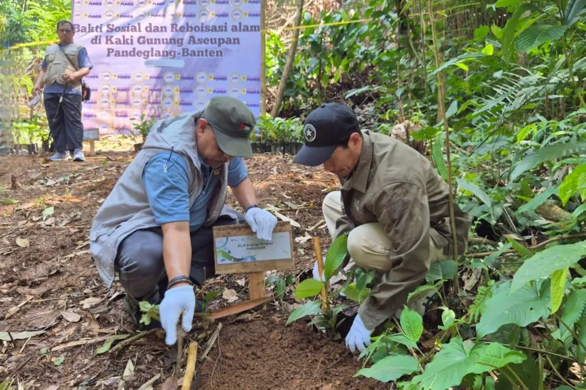 Peringati Hari Lingkungan Hidup, 500 Pohon Buah Ditanam di Gunung Aseupan