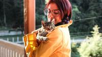 Ilustrasi Penanganan untuk Kucing Kurus di Rumah Credit: pexels.com/Mel