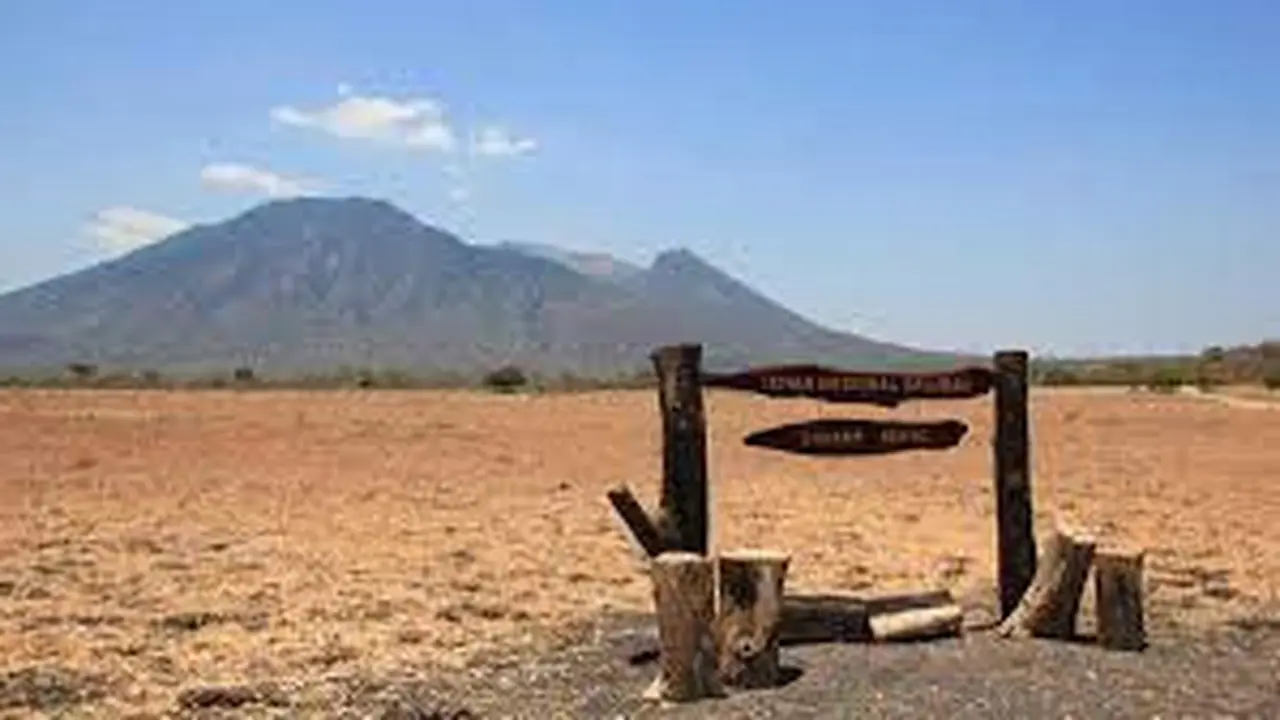 Kawasan padang Savana dan Gunung Baluran di kawasan Taman Nasional Baluran Situbondo (Istimewa)