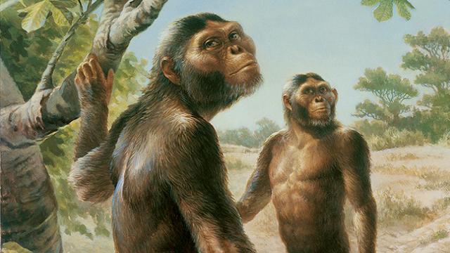 Lucy si Manusia Purba Nongol di Google Doodle Hari Ini