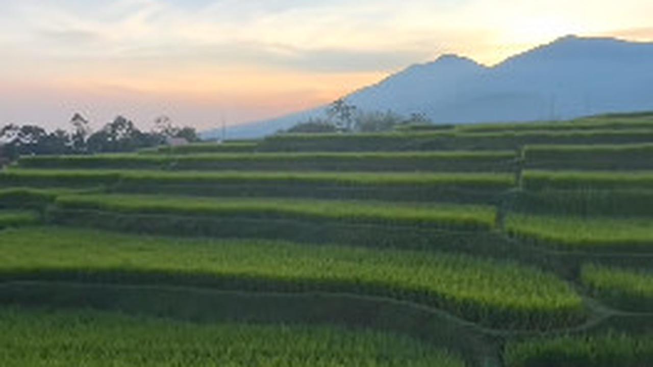 Definisi Jemur Pakaian Langsung 'Healing',