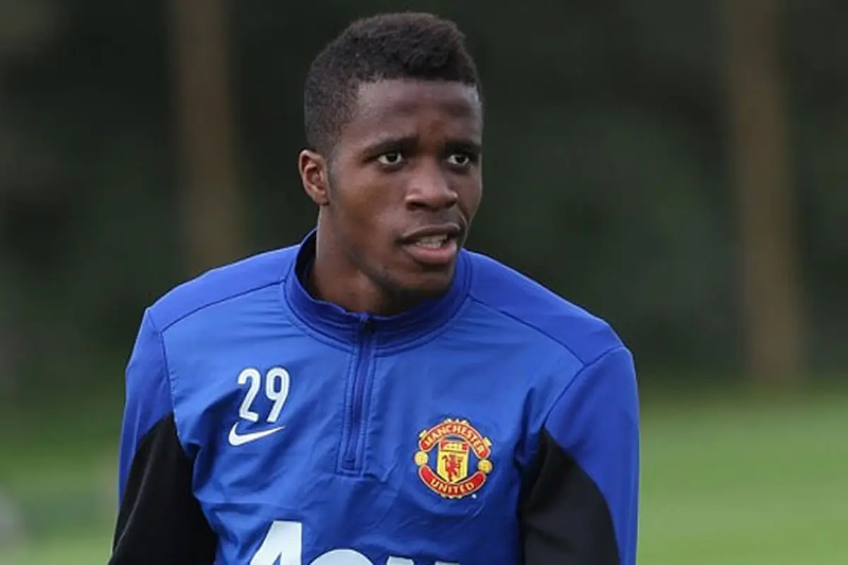 wifi-zaha-131015b.jpg