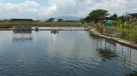 Spot Mancing Nyaman 2025 di Tulungagung (google.com/maps-BejoTV - Guyon Kaku)