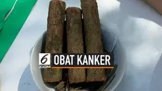 Tiga siswa SMA Negeri 2 Negeri Palangka Raya berhasil menemukan obat penyembuh kanker dari pohon bajakah. Berkat penemuan ini mereka berhasil meriah medali emas pada ajang kompetisi tingkat dunia di Seoul, Korea Selatan.