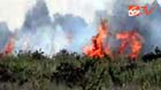 Seribuan Hektare Lahan Gambut Terbakar