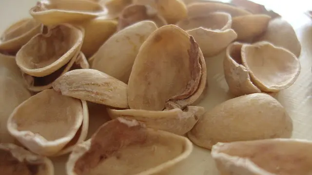 Pistachio