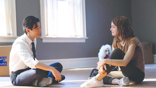 A Dog's Journey (DreamWorks)