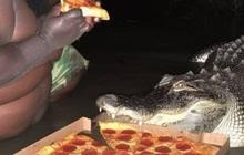 Viral Foto Pria Besar Duel dengan Banyak Buaya Gara-gara Urusan Pizza, Ini Fakta Sebenarnya