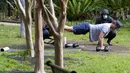 Seorang trainer menyaksikan anggota fitness berolahraga di sebuah taman di pinggiran timur Sydney, pada 14 September 2021. Pelatih pribadi telah mengubah taman kawasan tepi laut di Rushcutters Bay menjadi gym luar ruangan untuk menyiasati pembatasan lockdown karena pandemi covid-19. (AP/Mark Baker)