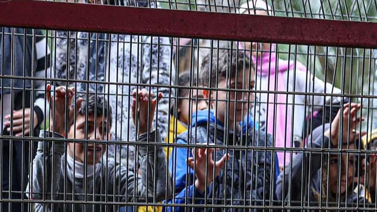 FOTO: Nestapa Warga Palestina Mengungsi di Kebun Binatang Gaza, Berdampingan dengan Hewan-Hewan Kelaparan
