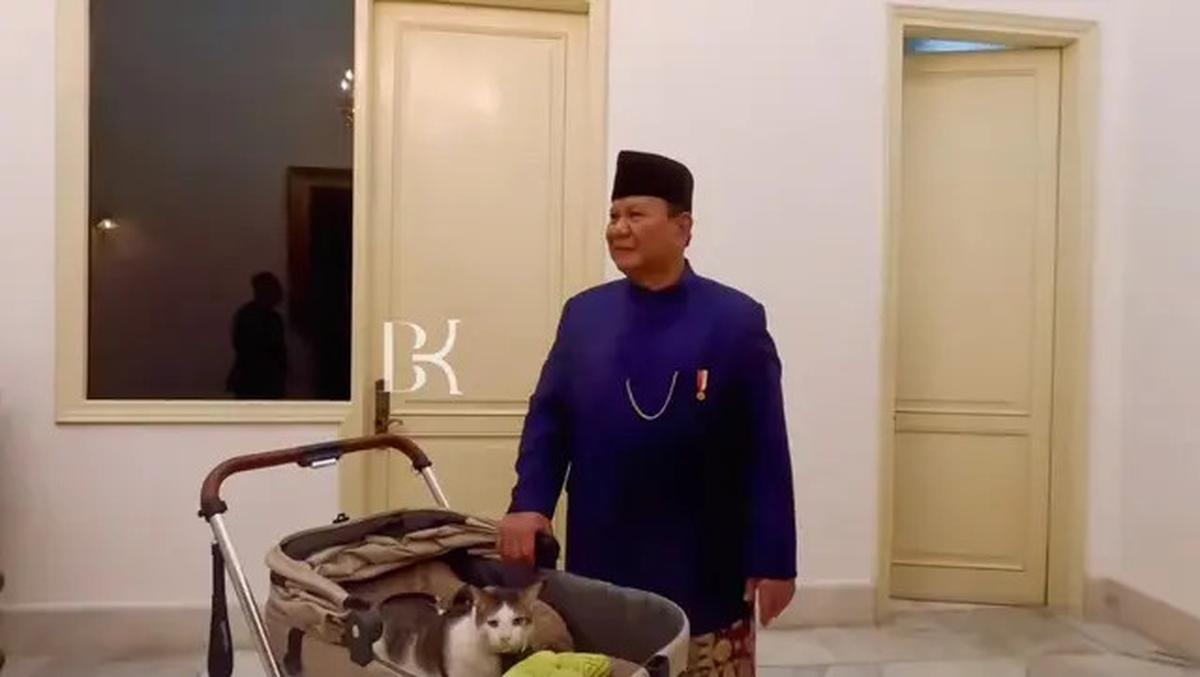 7 Potret Bobby Kucing Prabowo di Pelantikan Presiden, Jadi Penghuni Istana