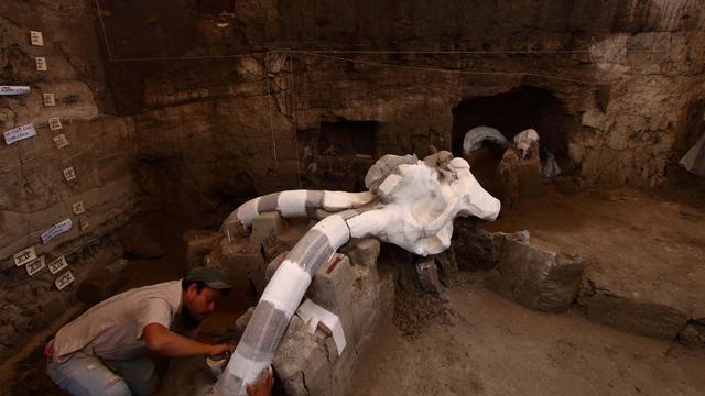 20160702-Fosil Mammoth Berusia 14 Ribu Tahun Menggemparkan Meksiko-Meksiko