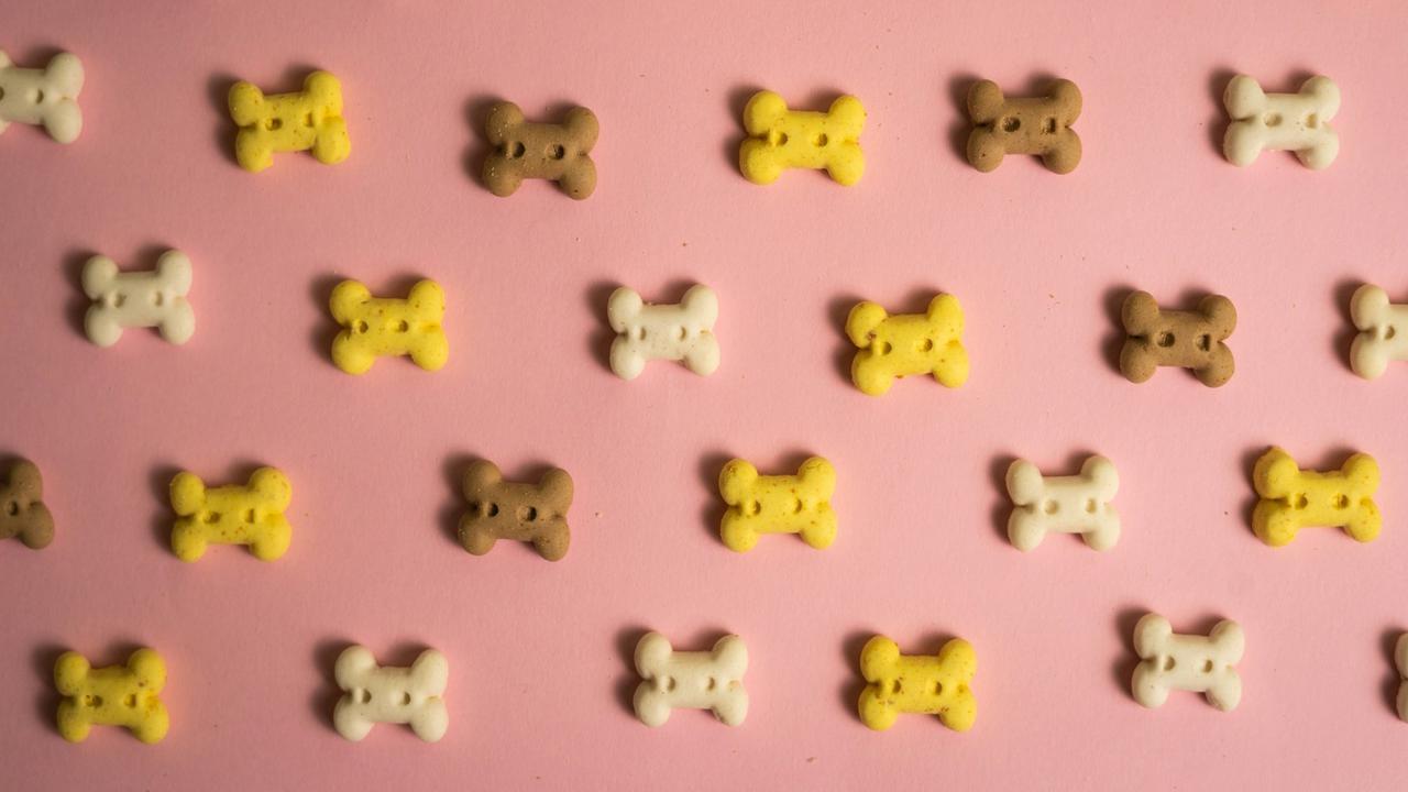 Dog Treat
