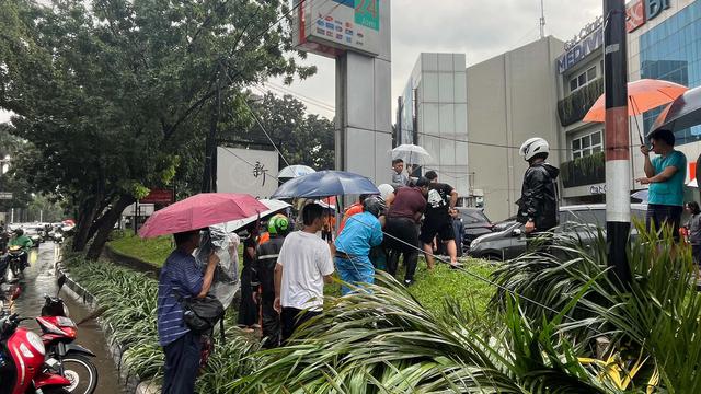 Pohon Tumbang Timpa Mobil Mewah, Satu Orang Tewas